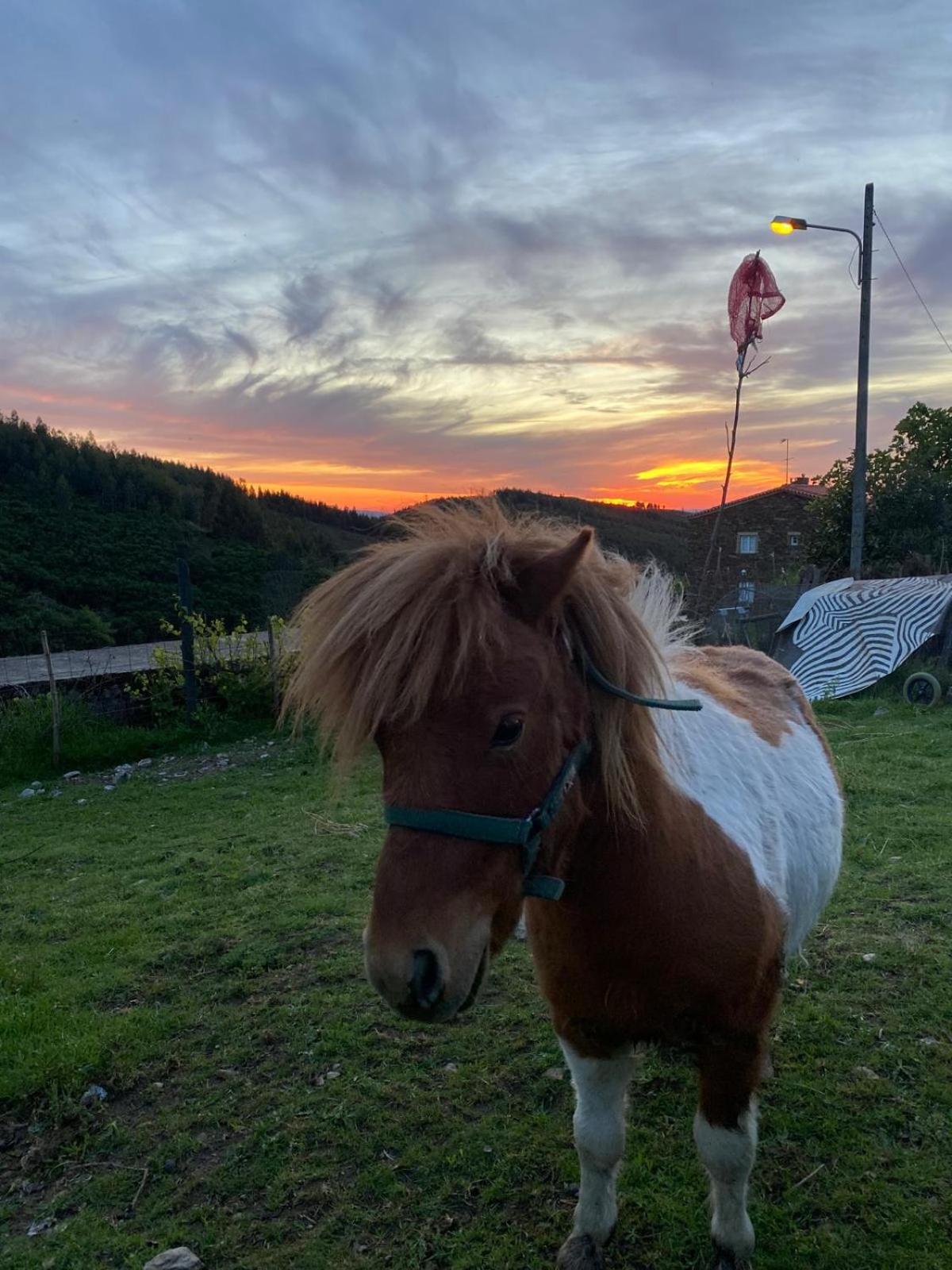 Villa Casinha Por Do Sol Aldeia das Dez Esterno foto
